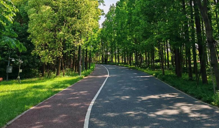 自行車(chē)綠道施工需要注意些什么？